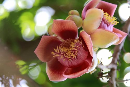 Vạch trần chị hàng xóm ngoại tình, giờ tôi lại sống trong dằn vặt