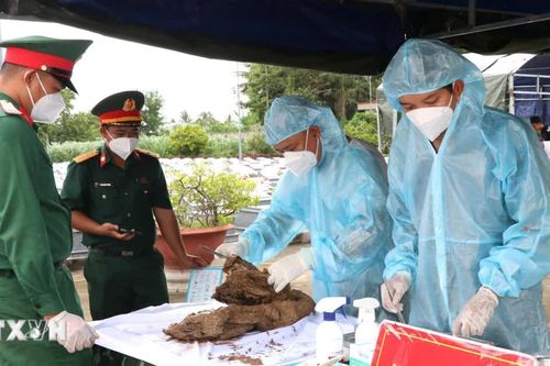 Vĩnh Long thực hiện lưu trữ, số hóa hồ sơ lấy mẫu xác định danh tính hài cốt liệt sỹ