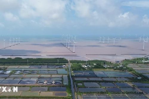 Cà Mau: Phê duyệt chủ trương đầu tư dự án điện gió vốn đầu tư gần 5.000 tỷ đồng