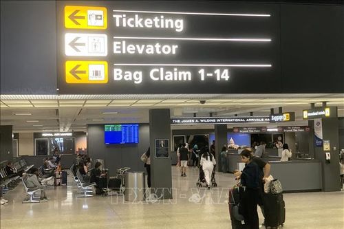Mỹ: TSA cho phép tiễn hành khách tại cổng lên máy bay ở một số sân bay