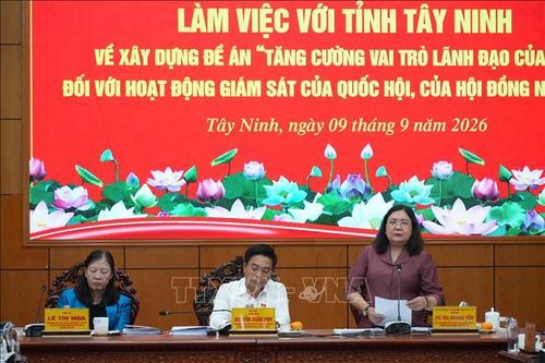 Nâng cao hiệu quả giám sát Quốc hội, Hội đồng nhân dân