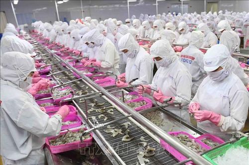 Việt Nam- Pháp: Động lực mới cho phát triển thương mại và đầu tư