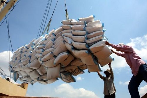 Xuất khẩu gạo được kỳ vọng tăng tốc cuối năm