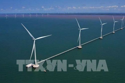 Cà Mau phê duyệt 2 dự án điện gió gần 5.000 tỷ đồng tại xã Vĩnh Hậu