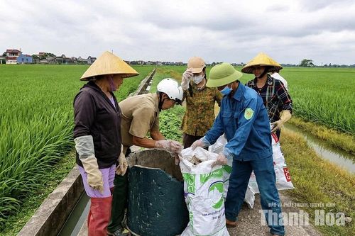 Hội Nông dân Thiệu Tiến chung sức vì môi trường xanh