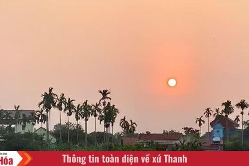 Mùa cau gọi ký ức về