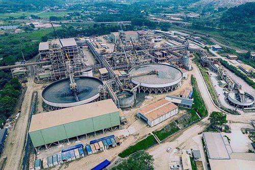 Masan High-Tech Materials sắp chi 1.100 tỷ đồng để trả cổ tức