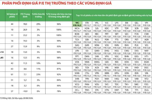 Toàn thị trường có khoảng hơn 200 cổ phiếu có định giá P/E 'siêu rẻ'