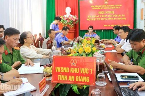 Góp ý dự thảo Bộ luật Tố tụng hình sự: Làm rõ thẩm quyền điều tra và tố tụng điện tử