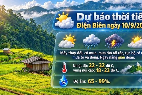 Bản tin Dự báo thời tiết ngày 10/9/2026