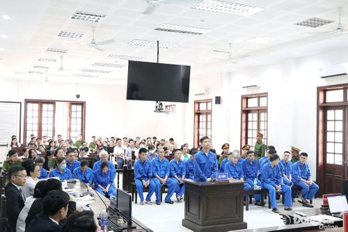 Sai phạm về kết luận giám định tâm thần: Các bị cáo thừa nhận hành vi phạm tội