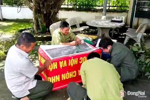 Phát hiện, xử lý điểm nuôi nhốt nhiều động vật hoang dã trái phép