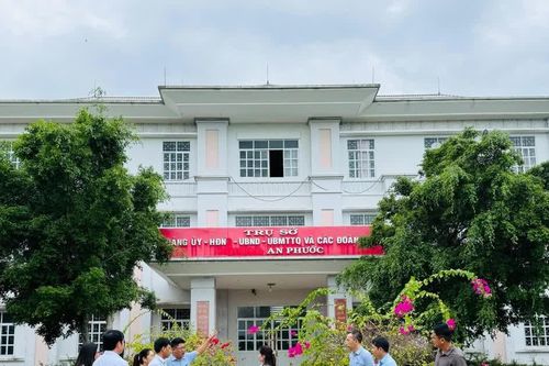 Đoàn ĐBQH tỉnh giám sát việc quản lý, sử dụng tài sản công tại An Khê và Bình An