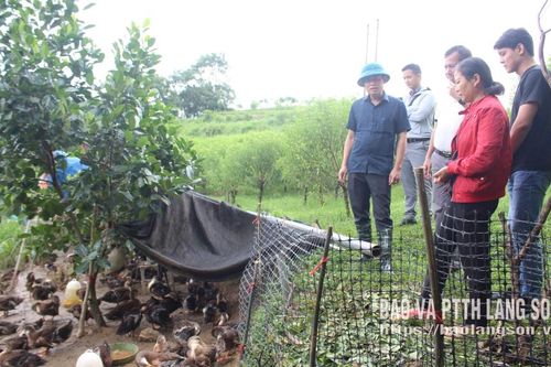 Đưa khoa học vào cuộc sống