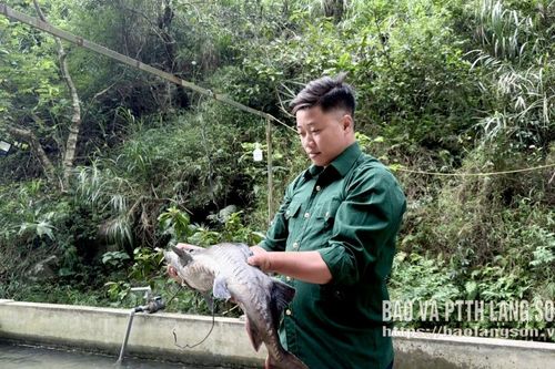Cựu chiến binh trẻ làm giàu từ cá nước lạnh