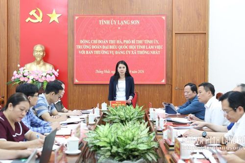 Đồng chí Phó Bí thư Tỉnh uỷ làm việc với Ban Thường vụ Đảng ủy xã Thống Nhất
