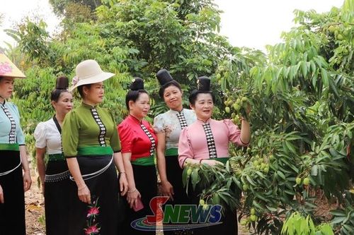 Phụ nữ Mường Bú thi đua làm kinh tế giỏi