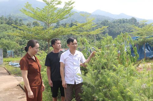 Người đi tìm hương Ngọc Am