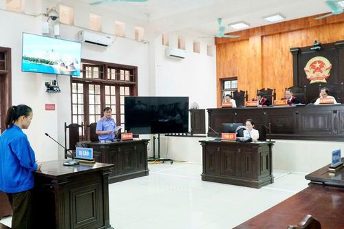 Lĩnh án 13 năm tù vì lừa đảo chiếm đoạt tài sản