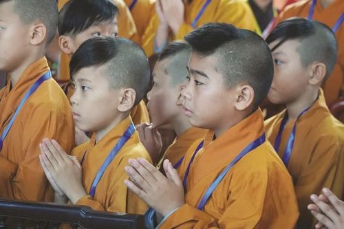 Gieo một mùa an trú