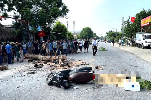 Thanh Hóa: Bị cây ven đường đổ trúng, người đi xe máy tử vong thương tâm