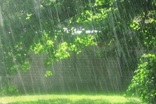 Dự báo thời tiết ngày 9/9: Không khí gây mưa dông diện rộng, Bắc Bộ chuyển mát từ đêm nay