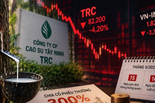 Một cổ phiếu sắp thưởng tỷ lệ 300% bất ngờ bị bán mạnh, giảm phiên thứ 4 liên tiếp