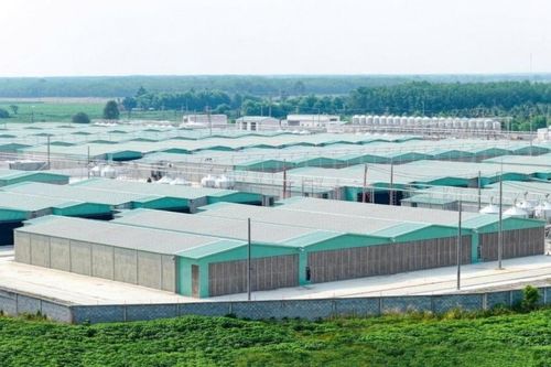BAF lập công ty con vốn 100 tỷ đồng tại Gia Lai