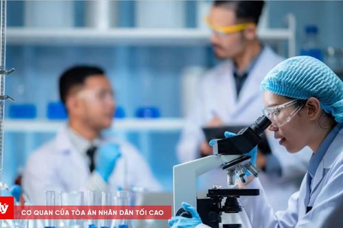 Bộ Nội vụ thúc đẩy đột phá chính sách thu hút, trọng dụng nhân tài