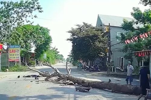 Cắt cây khô đổ ra đường, một người đi xe máy tử vong