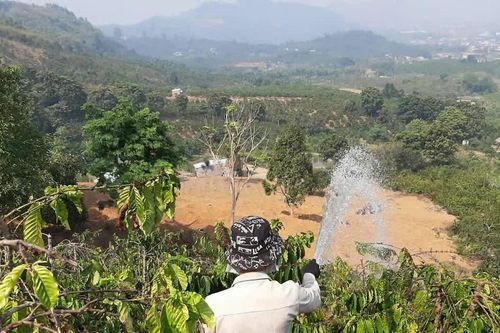 Cao điểm mùa mưa nhưng ao hồ ở Lâm Đồng vẫn cạn nước