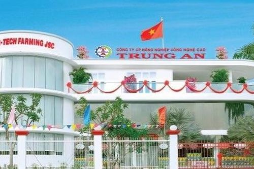 Nông nghiệp Trung An (TAR) chìm trong thua lỗ, kiểm toán tiếp tục ngoại trừ vì 6 triệu cổ phiếu