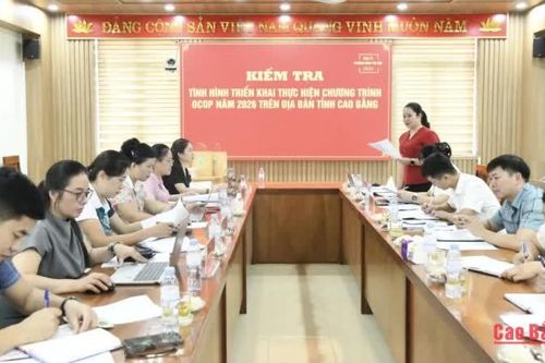 Kiểm tra triển khai Chương trình OCOP tại phường Nùng Trí Cao