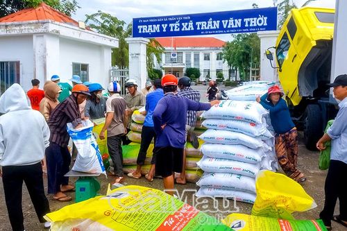 Cấp lúa giống, vật tư hỗ trợ nông dân sản xuất lúa chất lượng cao, phát thải thấp