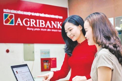 Một ngân hàng big 4 còn tồn tại trong bảo đảm tiền vay, kiểm tra sử dụng vốn