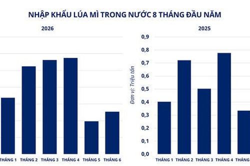 Giá đồng lập đỉnh lịch sử, lúa mì giảm 6%