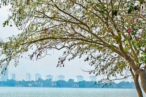 Từ ngày 10-9, Hà Nội chuyển mát