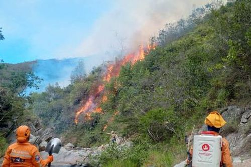 Cháy rừng tại Colombia thiêu rụi khu vực 3.000 ha