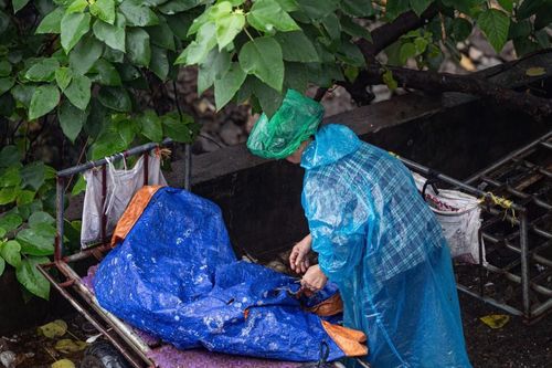 Đón không khí lạnh, miền Bắc chuyển mưa từ chiều tối nay