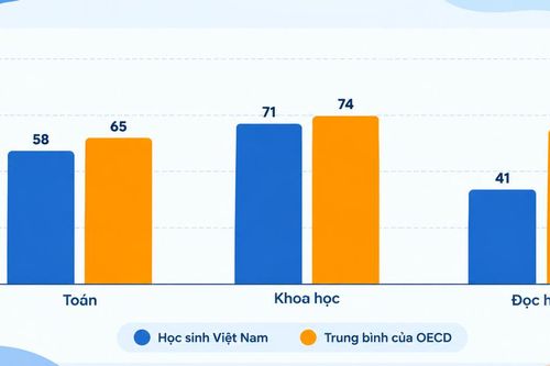 Gần 60% học sinh Việt Nam chưa đạt chuẩn đọc hiểu cơ bản