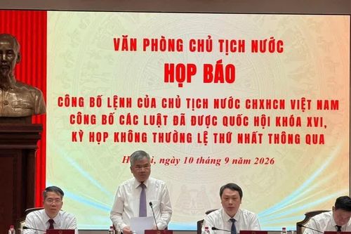 Chính thức cấm kinh doanh 'khí cười', cắt giảm 62 ngành nghề kinh doanh có điều kiện