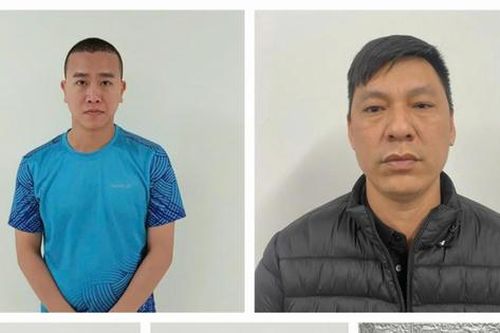 Truy tố 56 bị can trong đường dây đánh bạc trực tuyến 88 tỷ đồng