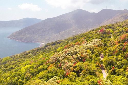 Khuyến cáo không tham gia tour trekking trái phép tại Sơn Trà