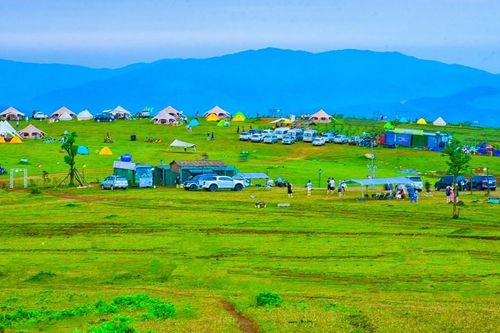 Quảng Ngãi mở không gian du lịch xanh từ rừng đến biển, đảo