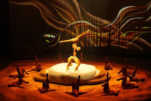 Để năng khiếu không dừng lại ở tiềm năng