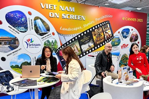 Luật phát triển công nghiệp văn hóa - Mở khóa nguồn lực, kiến tạo động lực mới:Kỳ 4 - Để sản phẩm văn hóa Việt không dừng ở 'tiếng vang trong nước'