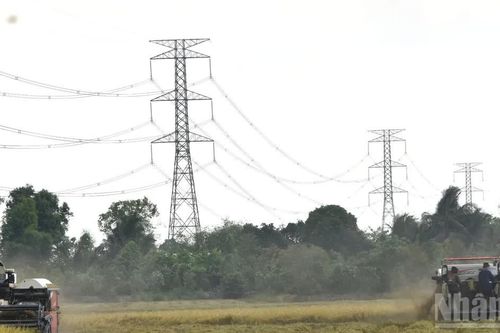 Đồng Tháp nâng cấp lưới điện trên 1.000 tỷ đồng trong năm 2026-2027