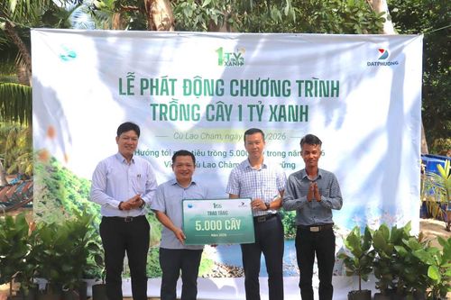 Trồng cây phục hồi hệ sinh thái Cù Lao Chàm