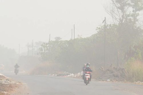 Cháy rừng nghiêm trọng, Indonesia tạm đóng cửa nhiều trường học