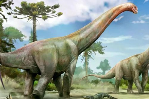 Phát hiện loài khủng long khổng lồ mới bên dưới công trường xây dựng ở Brazil